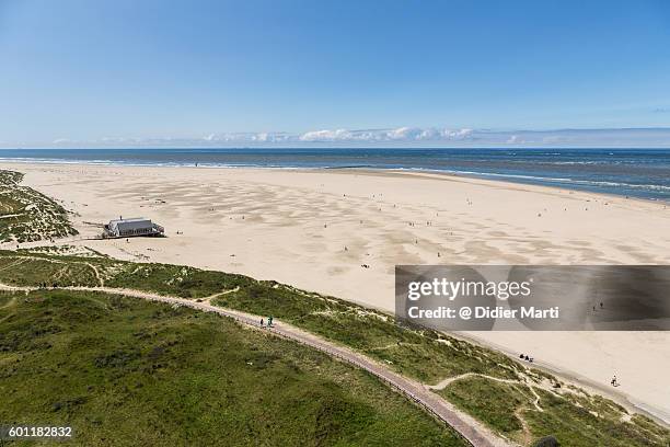 an aerial view of texel white sand beach in the netherlands - tessel fotografías e imágenes de stock