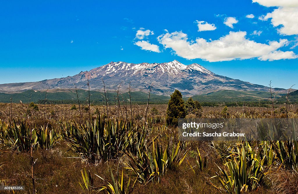 Mount Ruapehu – Tongariro National Park