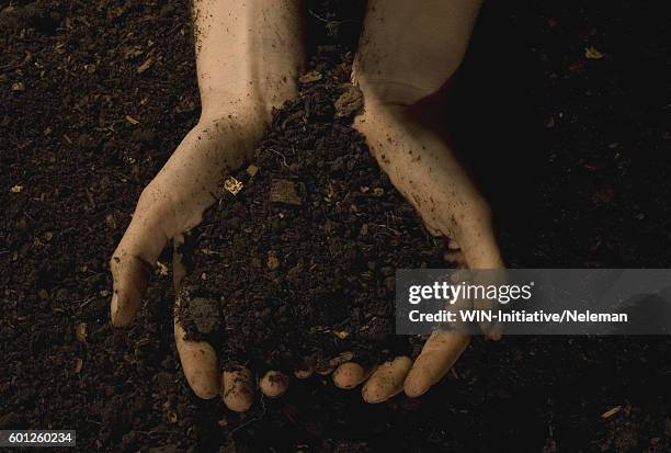 close-up of persons hands cupping heap of soil - handvol stockfoto's en -beelden
