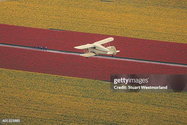 classic biiplane over tulips - biplane stock pictures, royalty-free photos & images