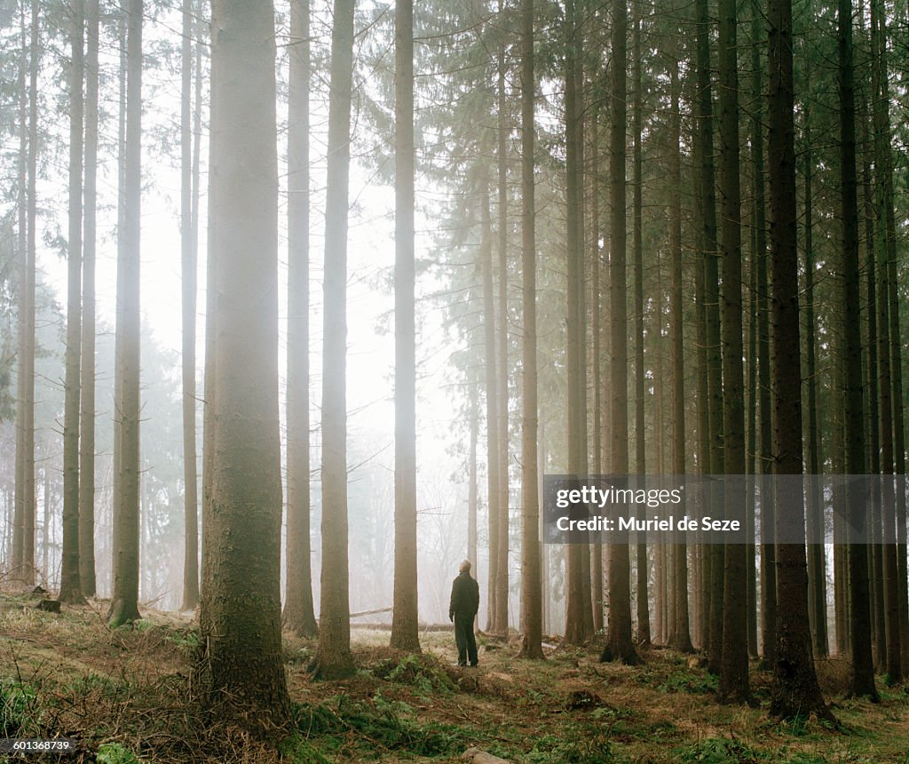 Man in forest