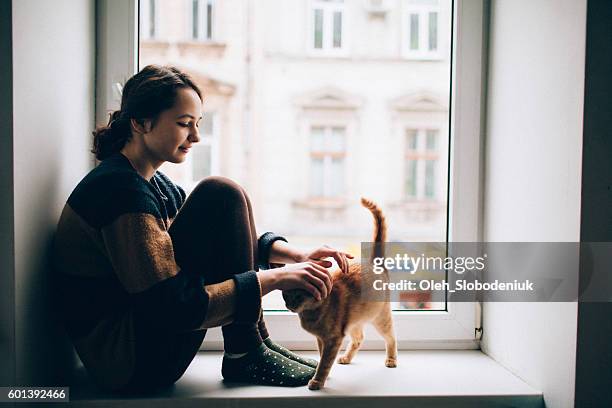 woman with cat - cat window stock pictures, royalty-free photos & images