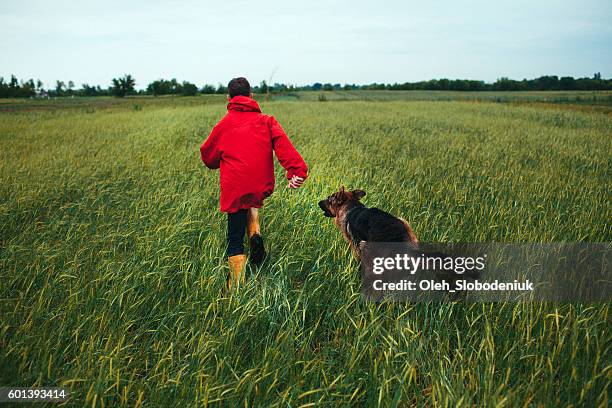 junge mit hund - boy running with dog stock-fotos und bilder