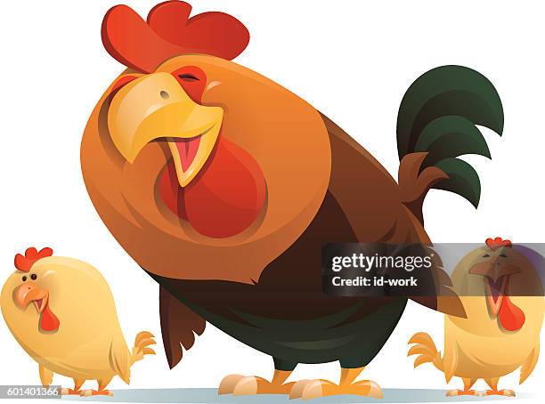 hen and chicks crowing - funny rooster stock illustrations