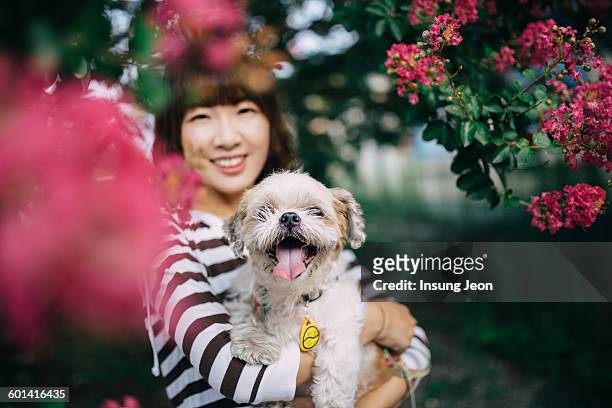 woman holding with dog - gyeongju ストックフォトと画像