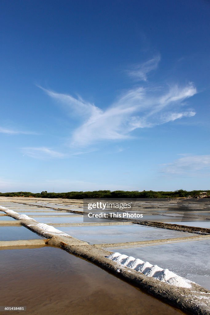 Salt Production, Near Tuticorin, India.