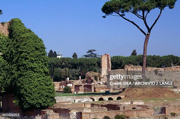 Flavia Rome 48 Domus Flavia Stock Photos, High-Res Pictures, and Images - Getty Images