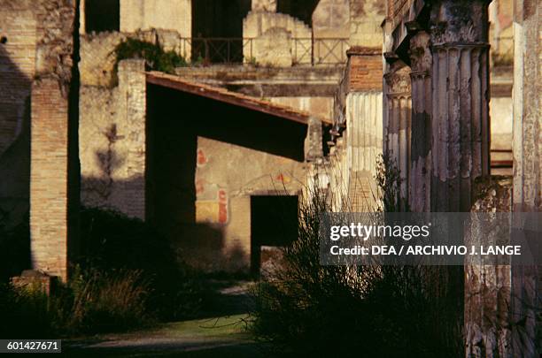 Glimpse of the palaestra, Herculaneum , Campania, Italy. Roman civilisation, 1st century BC.