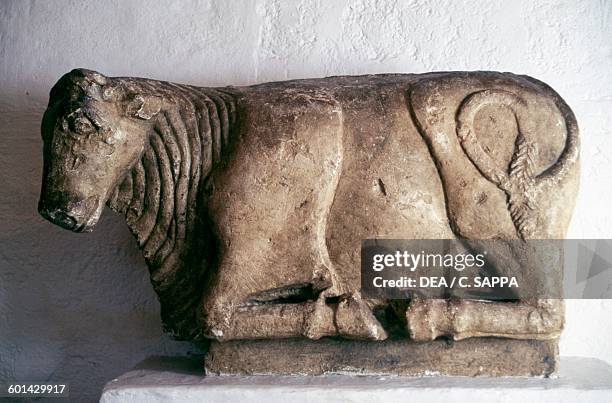 Roman Cow Roman Farming Photos and Premium High Res Pictures - Getty Images