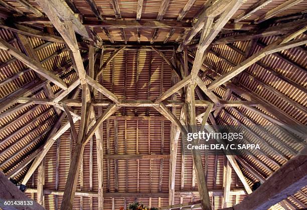 Wooden ceiling, Chateau d'Etchauz, Saint-Etienne-de-Baigorry, France, Aquitaine, 11th-16th century.