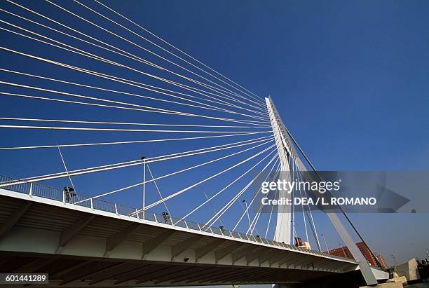 Erasmusbrug, 1989-1996, bridge across the New Meuse, architect Ben van Berkel, detail, Rotterdam. Netherlands, 20th century.