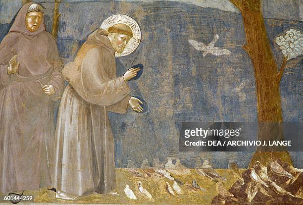Sermon to the Birds, fresco, detail, Saint Francis cycle by Giotto , Upper Basilica of St Francis , Assisi, Umbria, Italy.