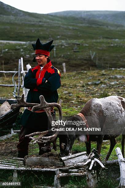 Sami shepherd with reindeer, Mageroya island, Nordkapp , Finnmark county, Norway.