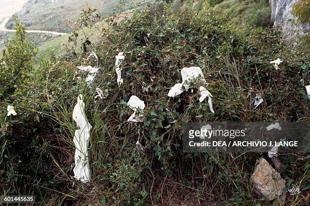 Sheets of paper with ex-voto on bushes, Pyrgi monastery, Chios island, Greece.