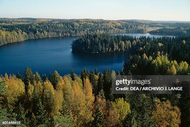 Forest surrounding a lake, near Turku, aerial view, Finland.