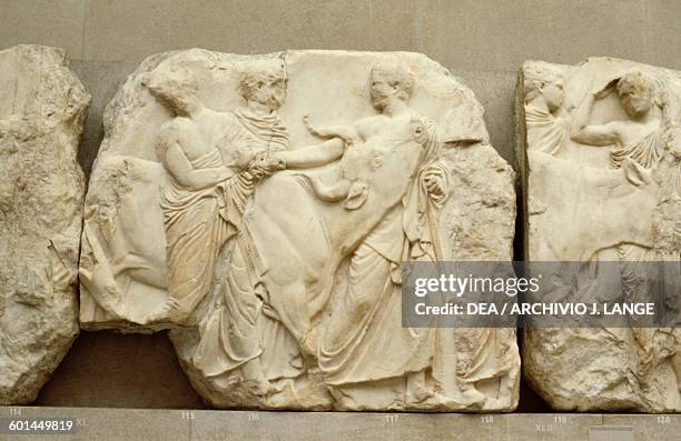 Youths leading a heifer to the sacrifice, 447-433 BC, from the South frieze of the Parthenon, Acropolis of Athens, Greece. Greek civilisation, 5th...