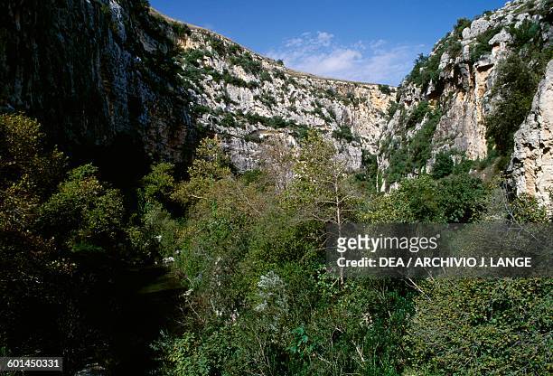 Ravine near the Rocky Necropolis of Pantalica, Pantalica Nature Reserve, Cava Grande torrent valley and the Anapo river valley, Sicily, Italy.