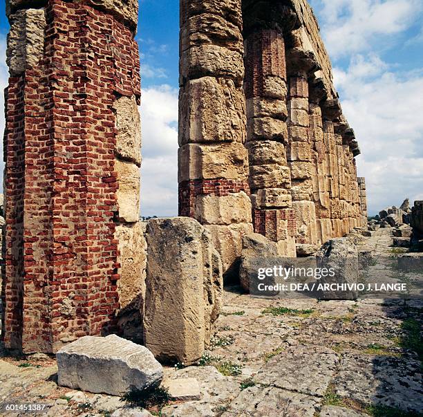 Columns of the Temple C, Doric order, acropolis of the ancient city of Selinunte, Sicily, Italy. Greek civilisation, Magna Graecia, 6th century BC.
