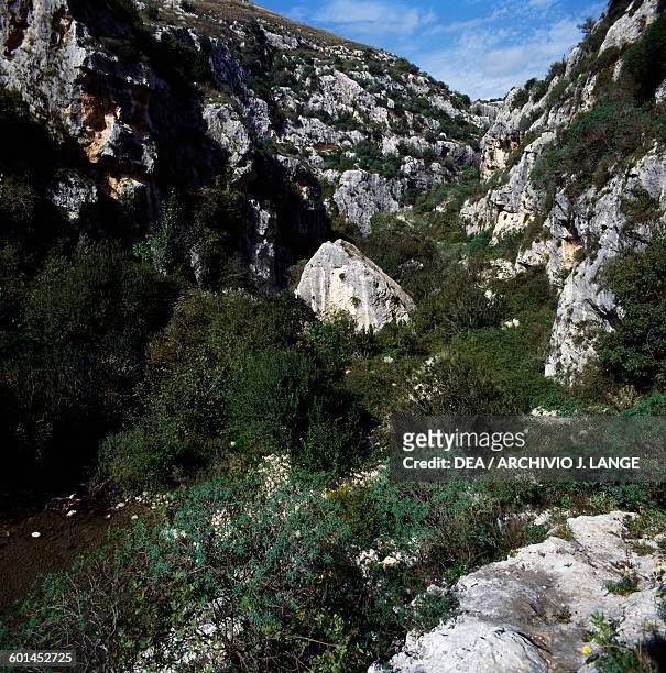 Rocky landscape near the Rocky Necropolis of Pantalica, Pantalica Nature Reserve, Cava Grande torrent valley and the Anapo river valley, Sicily,...