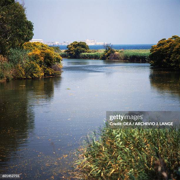 Anapo River Photos and Premium High Res Pictures Getty Images