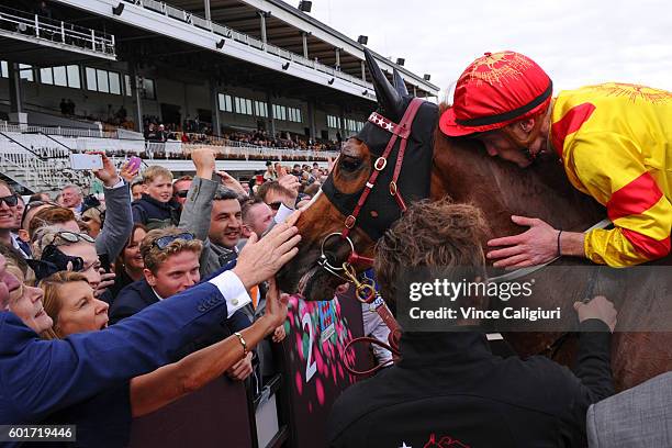 Mark Zahra kisses Palentino after winning in Race 7, Makybe Diva Stakes during Melbourne Racing at Flemington Racecourse on September 10, 2016 in...