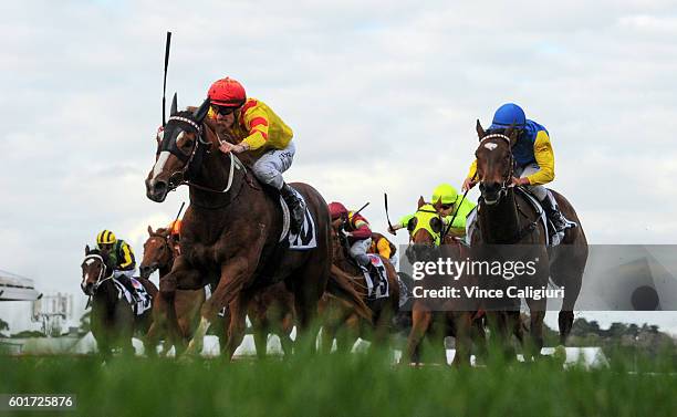 Mark Zahra riding Palentino defeats Damien Oliver riding Black Heart Bart in Race 7, Makybe Diva Stakes during Melbourne Racing at Flemington...