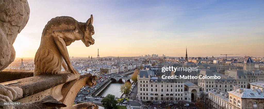 Panoramic of Notre Dame gargoyle and city of Paris