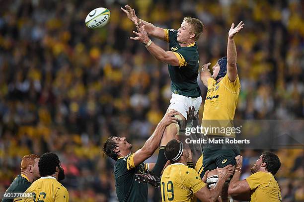 Pieter-Steph du Toit of the Springboks competes for the ball during the Rugby Championship match between the Australian Wallabies and the South...