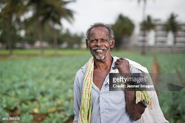 happy indian farmer standing in a field of cabbages. - karnataka stockfoto's en -beelden