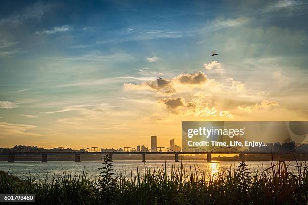 twilight scene in a riverside park - han river stock-fotos und bilder