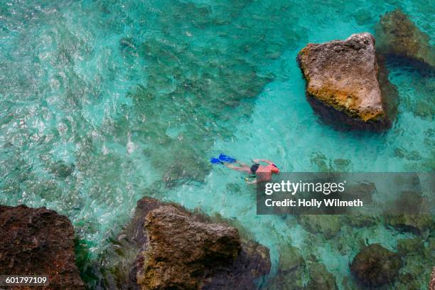 overhead view of man snorkeling in tropical coral reef - curaçao stock pictures, royalty-free photos & images