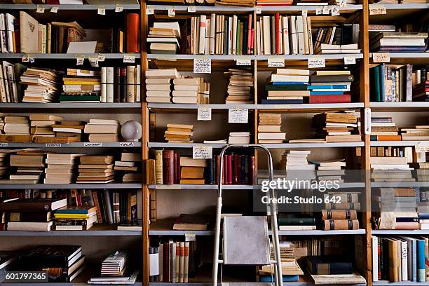 stepladder by bookshelves in library - continental_shelf stock pictures, royalty-free photos & images