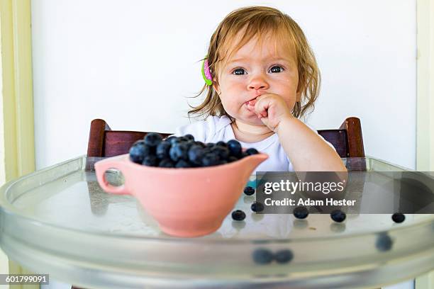 caucasian baby girl eating blueberries - adam berry stock pictures, royalty-free photos & images