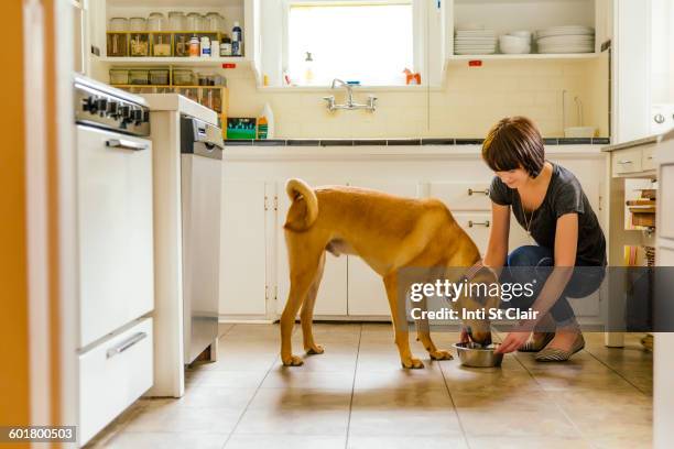 caucasian woman feeding dog in kitchen - southwest food stock pictures, royalty-free photos & images