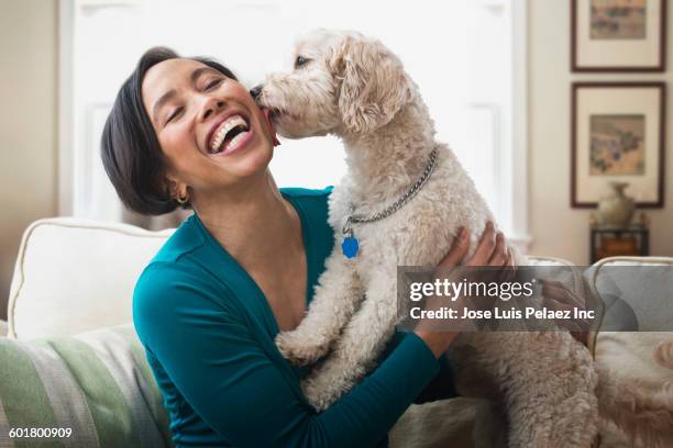 black woman petting dog on sofa - pet stock-fotos und bilder