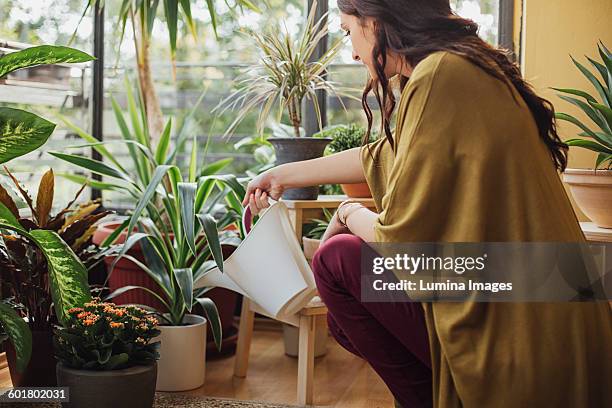 caucasian woman watering potted plants - watering plants stock-fotos und bilder