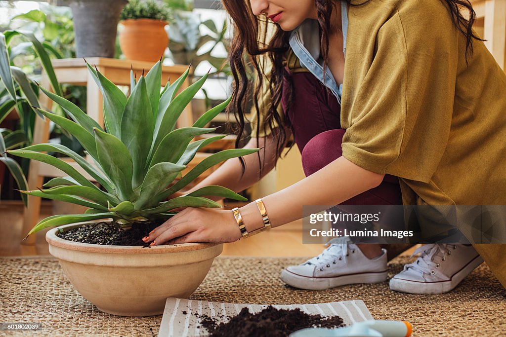 Caucasian woman planting potted plant