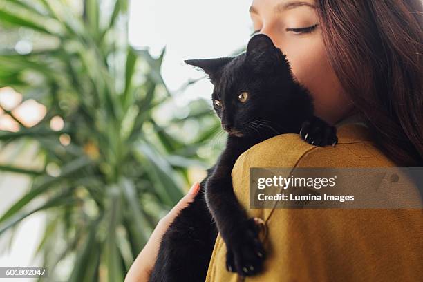 caucasian woman holding kitten - cat cuddle stockfoto's en -beelden