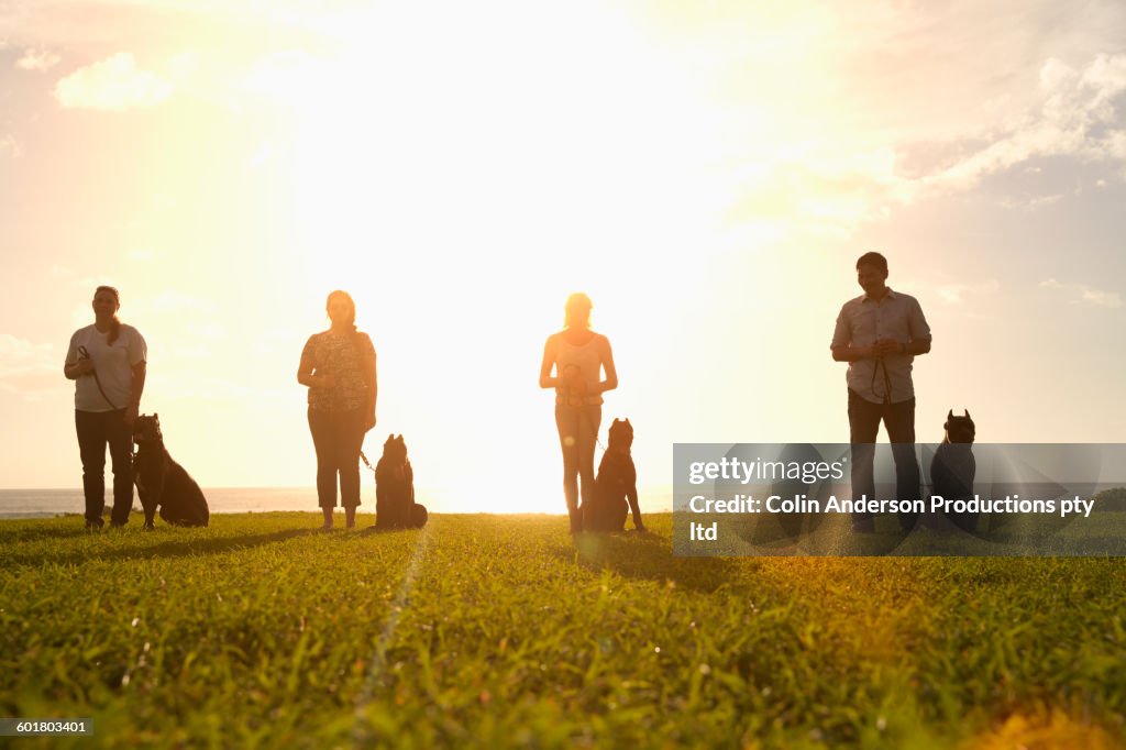 Owners training dogs in field