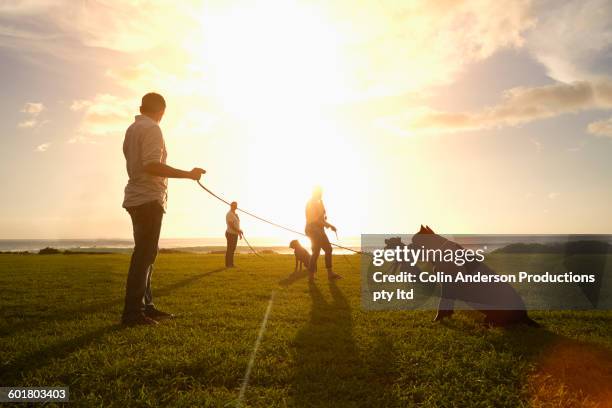 owners training dogs in field - dressage foto e immagini stock