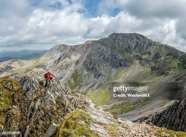 UK, Wales, Cadair Idris, Cyfrwy Arete, woman rock climbing