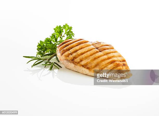 chicken filet - chicken on white stockfoto's en -beelden