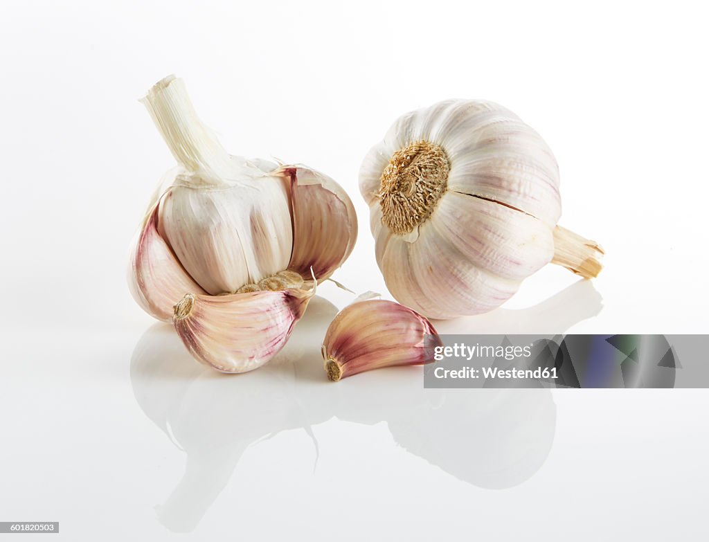 Garlic