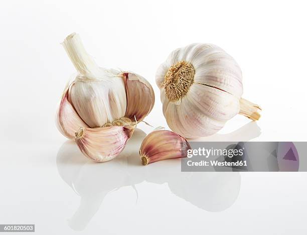 garlic - knoblauch stock-fotos und bilder