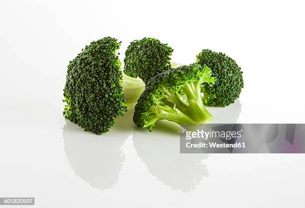 broccoli florets - broccoli white background stock-fotos und bilder