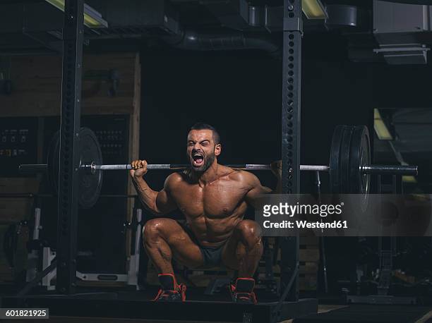bodybuilder performing squats with a barbell in gym - hombre agachado fotografías e imágenes de stock