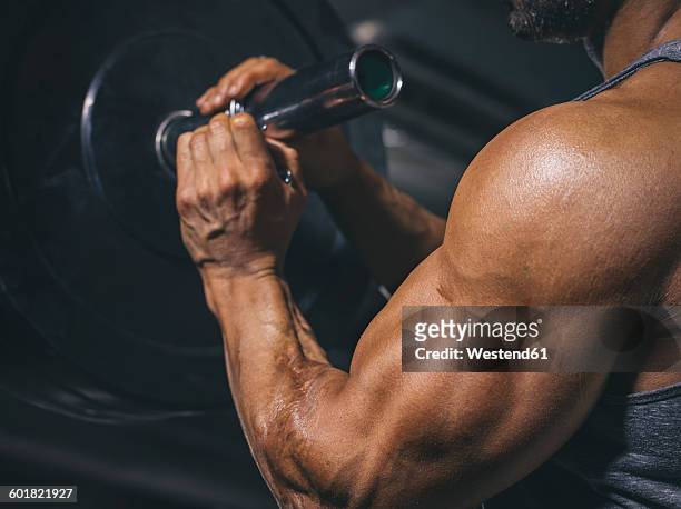 bodybuilder preparing a barbell on a power rack in gym - bicep stock-fotos und bilder