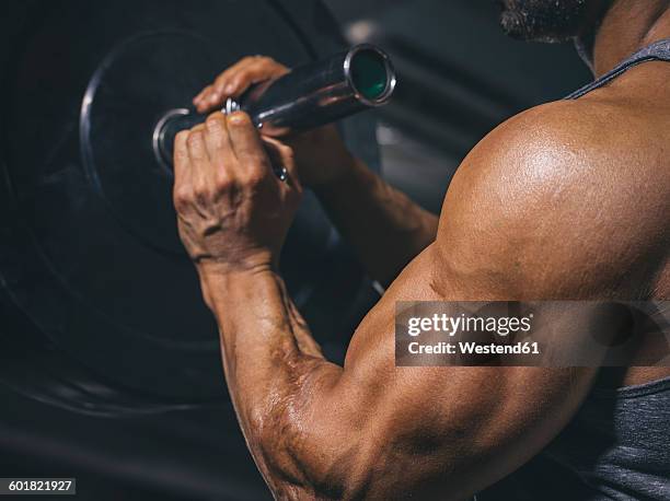 bodybuilder preparing a barbell on a power rack in gym - culturismo fotografías e imágenes de stock