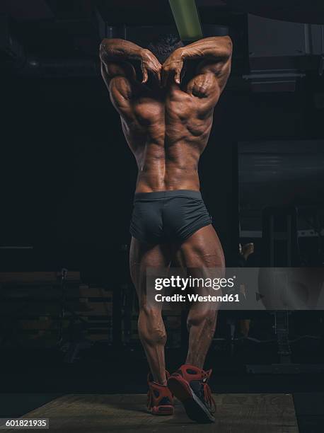 Bodybuilder Weimar 1,656 German Bodybuilder Stock Photos, High-Res Pictures, and Images ...