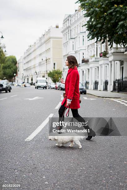 uk, london, young woman wearing red jacket crossing the street with her dog - red coat foto e immagini stock